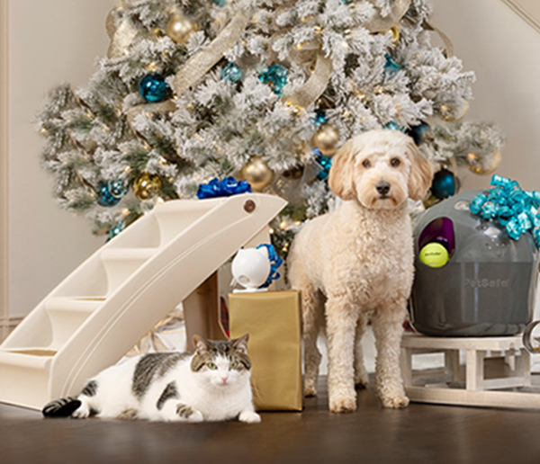 Eight great gift ideas for your cat from PetSafe®
