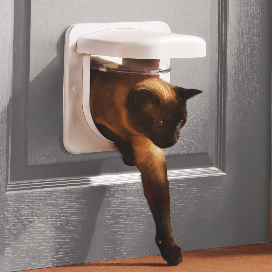 Petsafe cat best sale flap tunnel