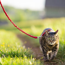 Load image into Gallery viewer, Easy Walk™ Cat Harness
