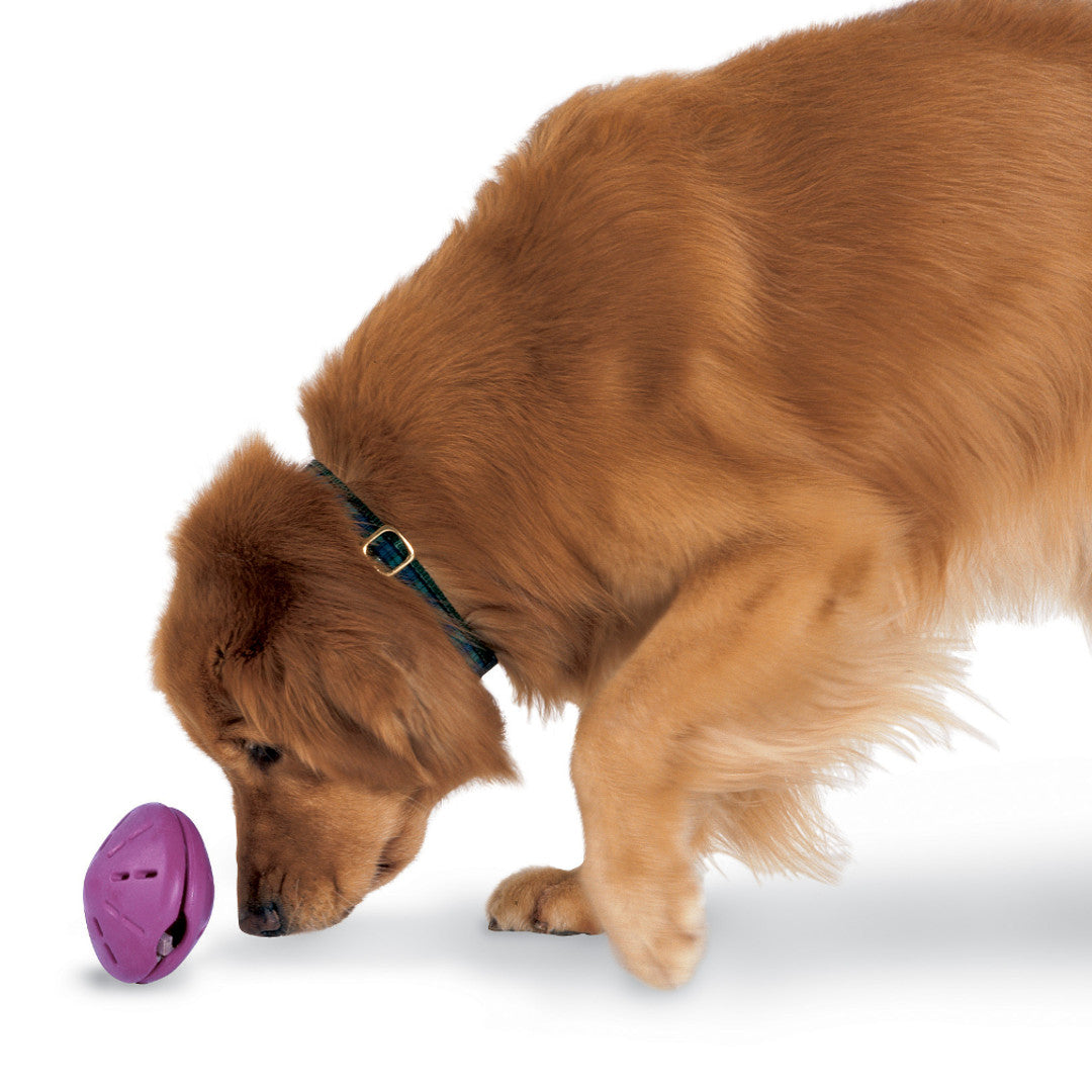 Support & Manuals: Busy Buddy® Toys - PetSafe® UK