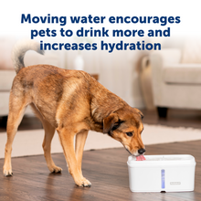 Load image into Gallery viewer, Viva Pet Fountain, 4.1 litre
