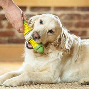 Busy Buddy® Cravin' Corncob