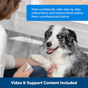 PetSafe® Teach & Treat Remote Reward Trainer