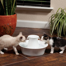 Load image into Gallery viewer, Drinkwell® Ceramic Avalon Pet Fountain
