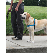 Load image into Gallery viewer, Easy Walk® Deluxe Harness
