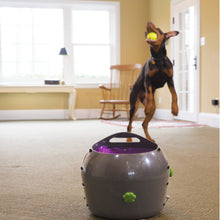 Load image into Gallery viewer, PetSafe® Automatic Ball Launcher
