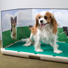 Load image into Gallery viewer, Piddle Place™ Pet Potty Replacement Grass Turf
