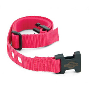 Replacement Collar Strap for Bark Control & In-Ground Fence™ System