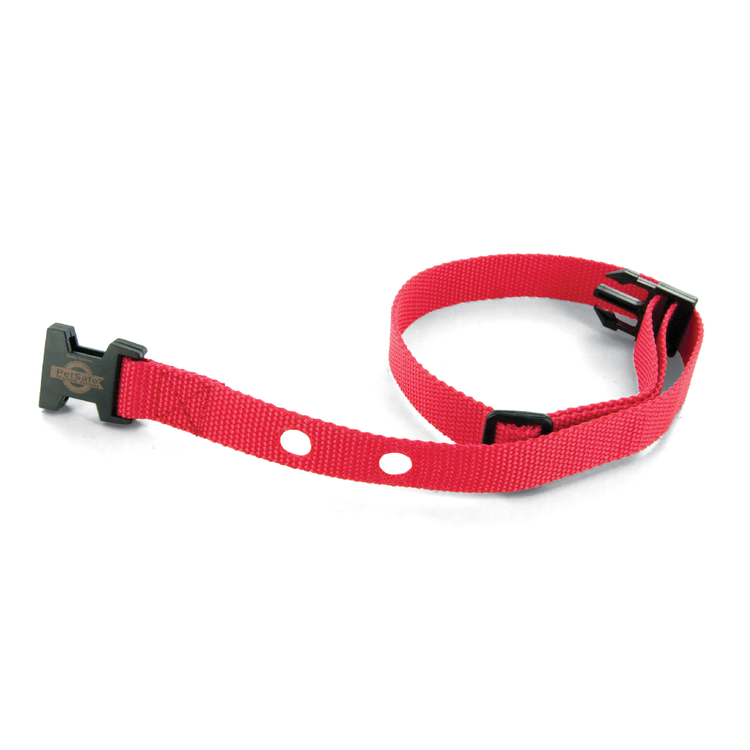 Shop for Replacement Collar Strap for In-Ground & Wireless Fences -  PetSafe® UK