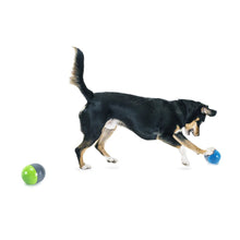 Load image into Gallery viewer, Ricochet Electronic Dog Toys
