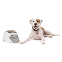 Load image into Gallery viewer, Treat &amp; Train™ Remote Reward Dog Trainer

